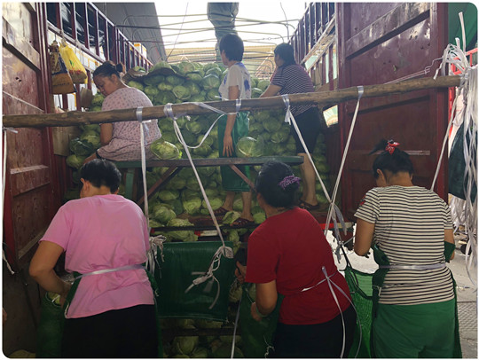 赏金船主·PG(中国游)官方网站