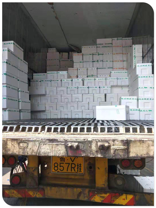 赏金船主·PG(中国游)官方网站