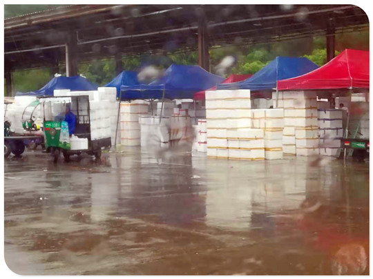 赏金船主·PG(中国游)官方网站