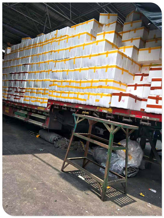 赏金船主·PG(中国游)官方网站