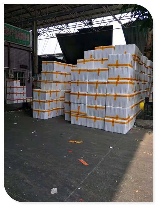 赏金船主·PG(中国游)官方网站