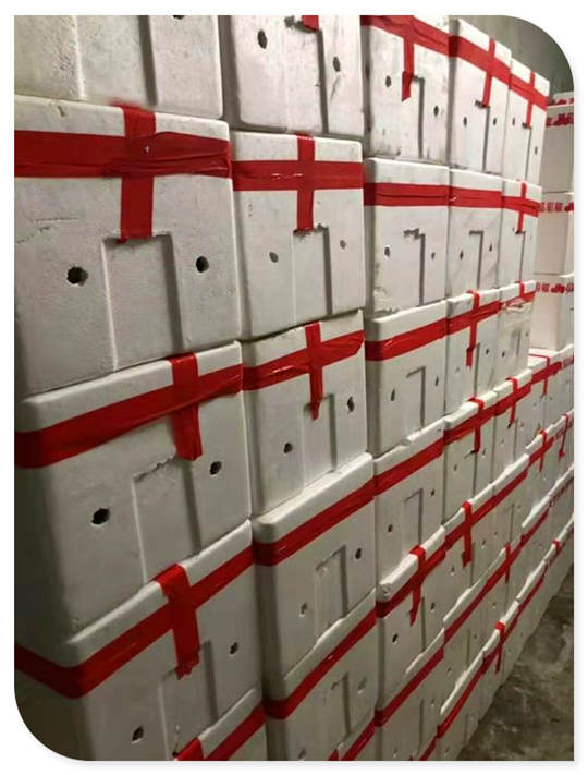 赏金船主·PG(中国游)官方网站