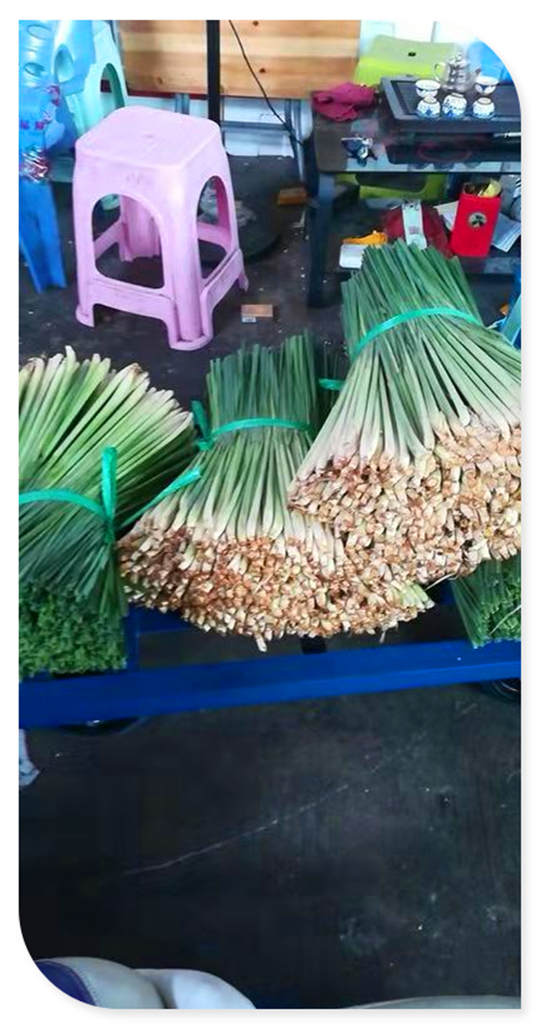 赏金船主·PG(中国游)官方网站