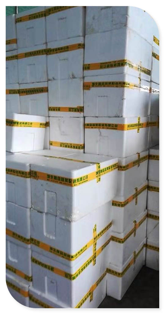 赏金船主·PG(中国游)官方网站