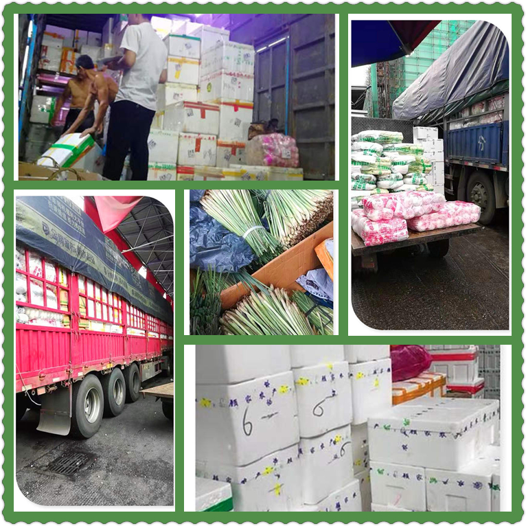 赏金船主·PG(中国游)官方网站