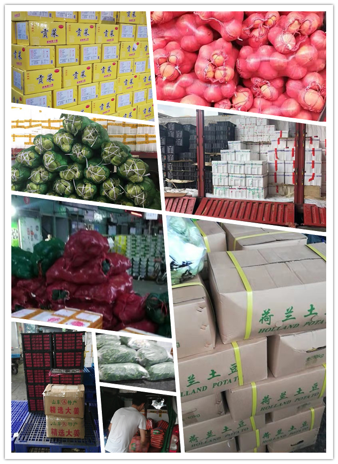 赏金船主·PG(中国游)官方网站