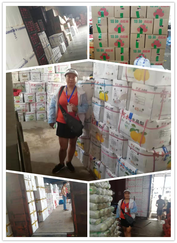 赏金船主·PG(中国游)官方网站