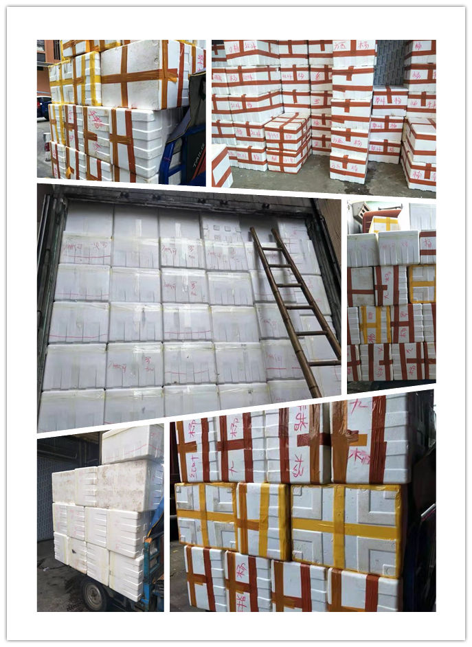 赏金船主·PG(中国游)官方网站