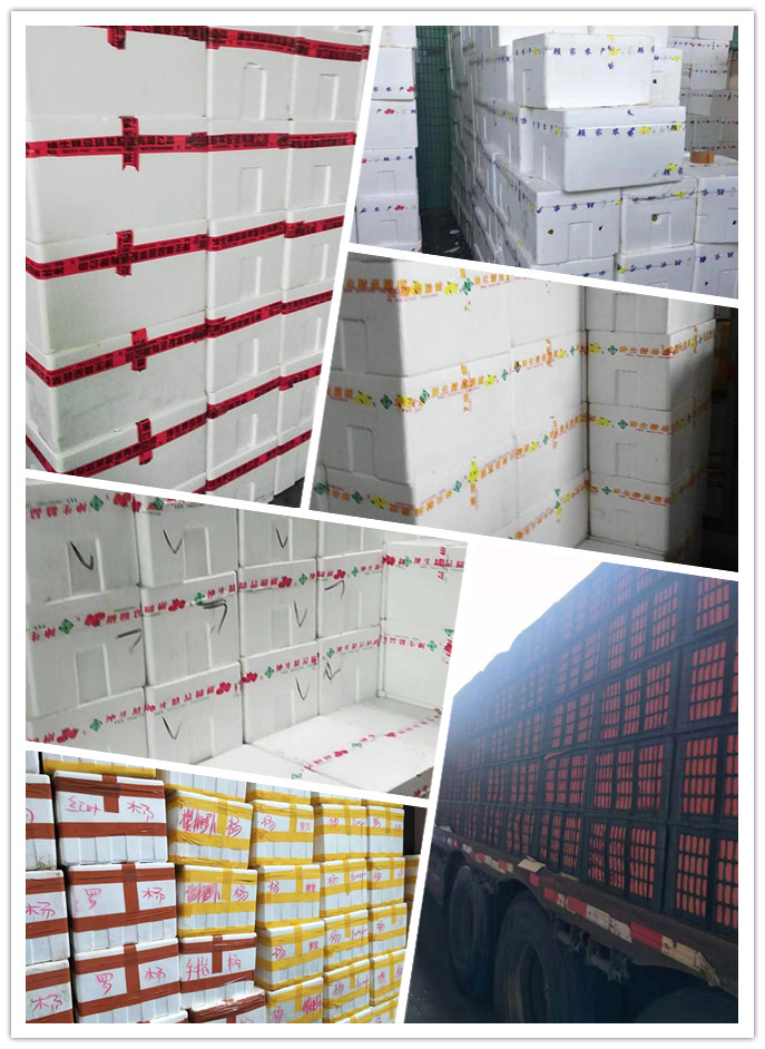 赏金船主·PG(中国游)官方网站