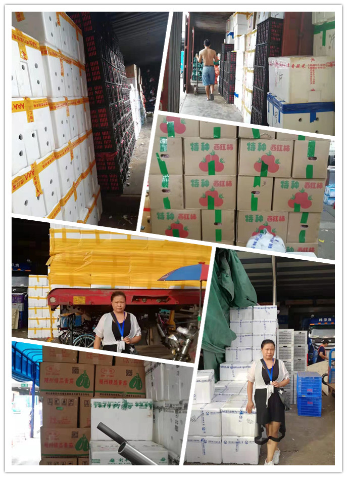 赏金船主·PG(中国游)官方网站