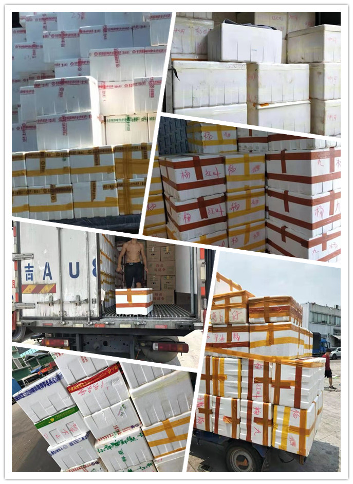 赏金船主·PG(中国游)官方网站