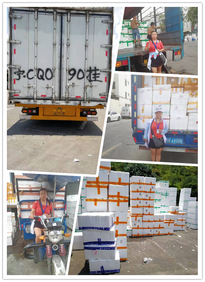 赏金船主·PG(中国游)官方网站