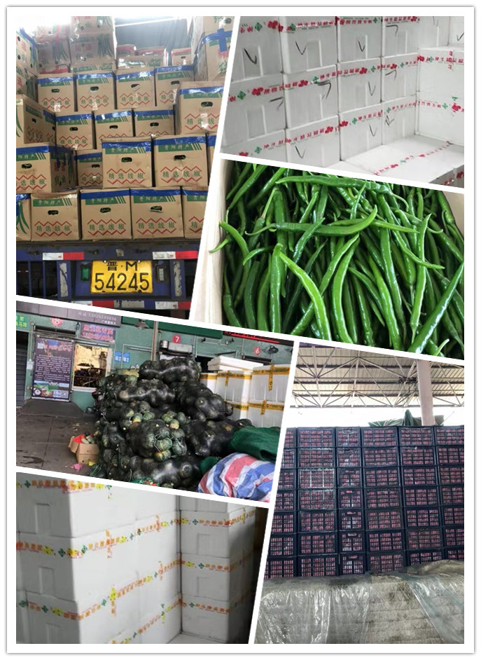 赏金船主·PG(中国游)官方网站