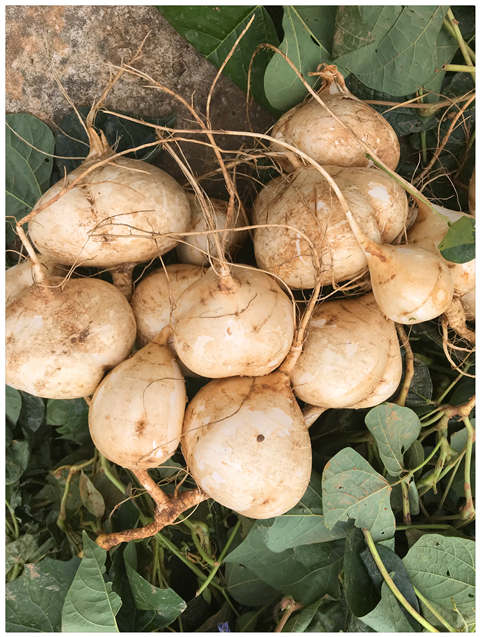 赏金船主·PG(中国游)官方网站