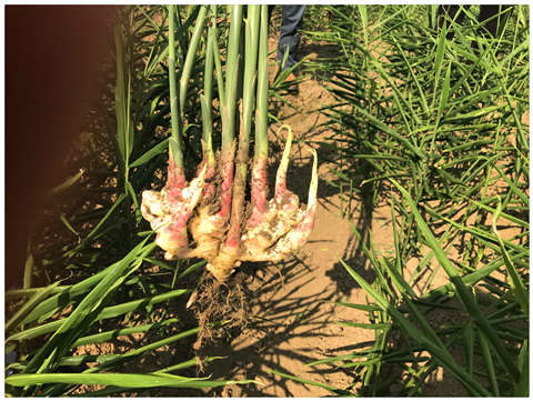 赏金船主·PG(中国游)官方网站