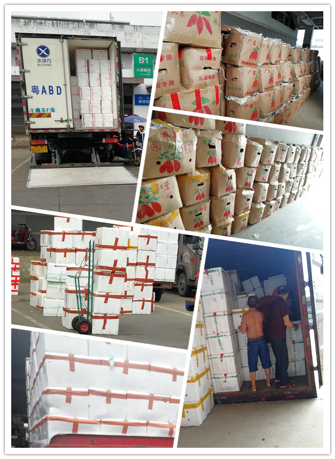 赏金船主·PG(中国游)官方网站