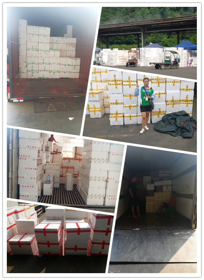 赏金船主·PG(中国游)官方网站