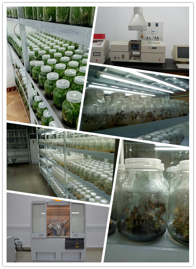 赏金船主·PG(中国游)官方网站