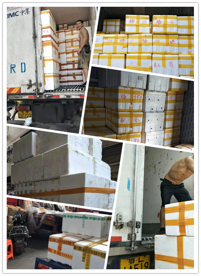 赏金船主·PG(中国游)官方网站