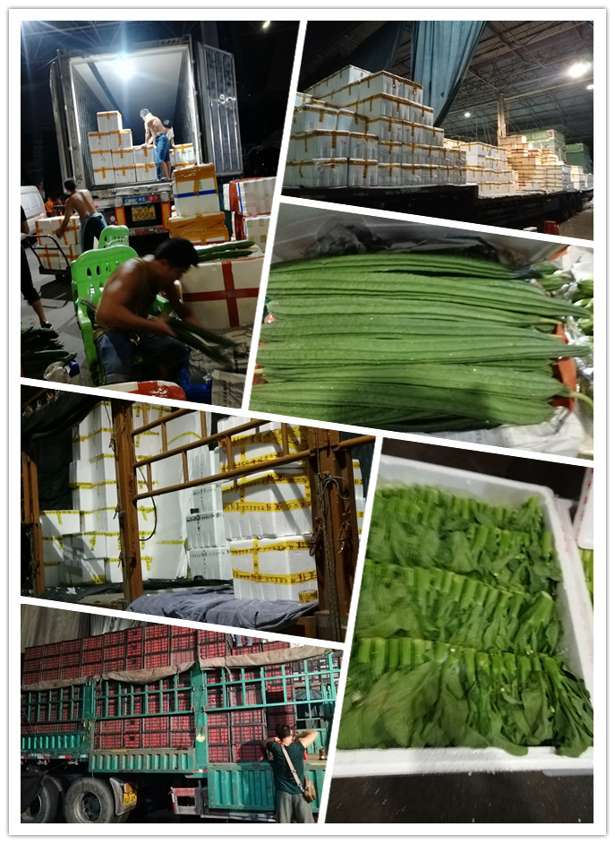 赏金船主·PG(中国游)官方网站