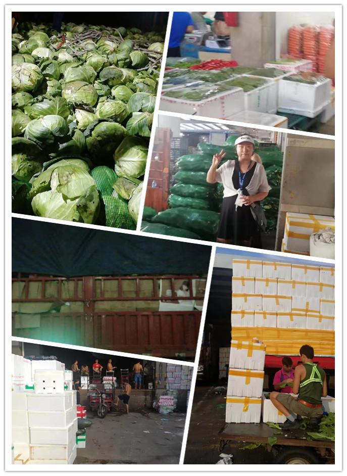 赏金船主·PG(中国游)官方网站