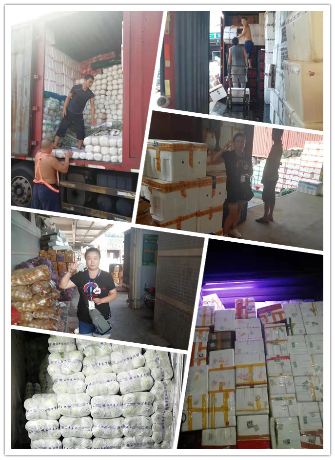 赏金船主·PG(中国游)官方网站