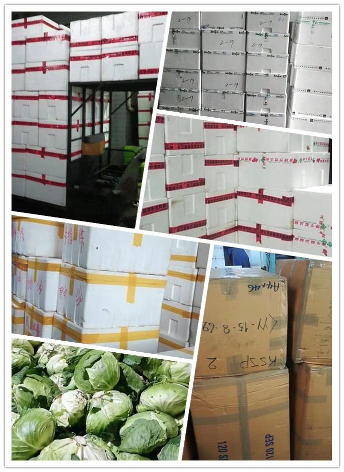 赏金船主·PG(中国游)官方网站