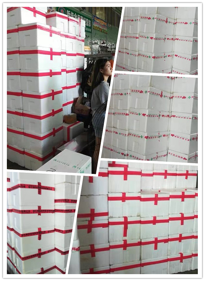 赏金船主·PG(中国游)官方网站