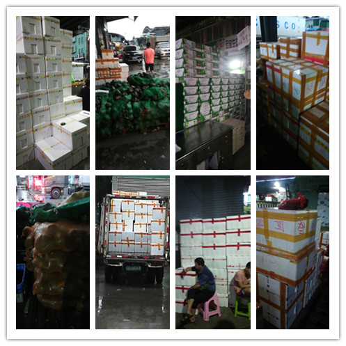 赏金船主·PG(中国游)官方网站