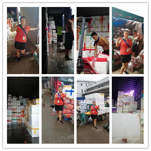 赏金船主·PG(中国游)官方网站