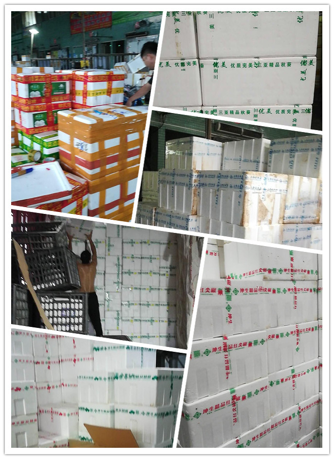 赏金船主·PG(中国游)官方网站