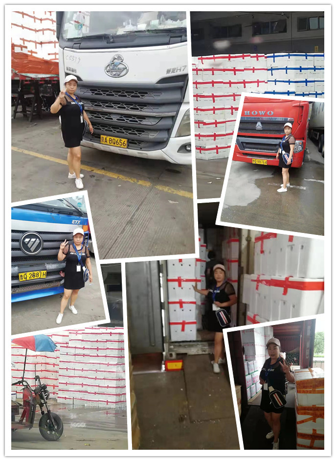 赏金船主·PG(中国游)官方网站