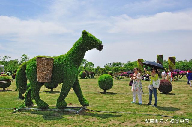 赏金船主·PG(中国游)官方网站