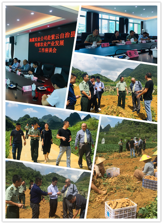 赏金船主·PG(中国游)官方网站