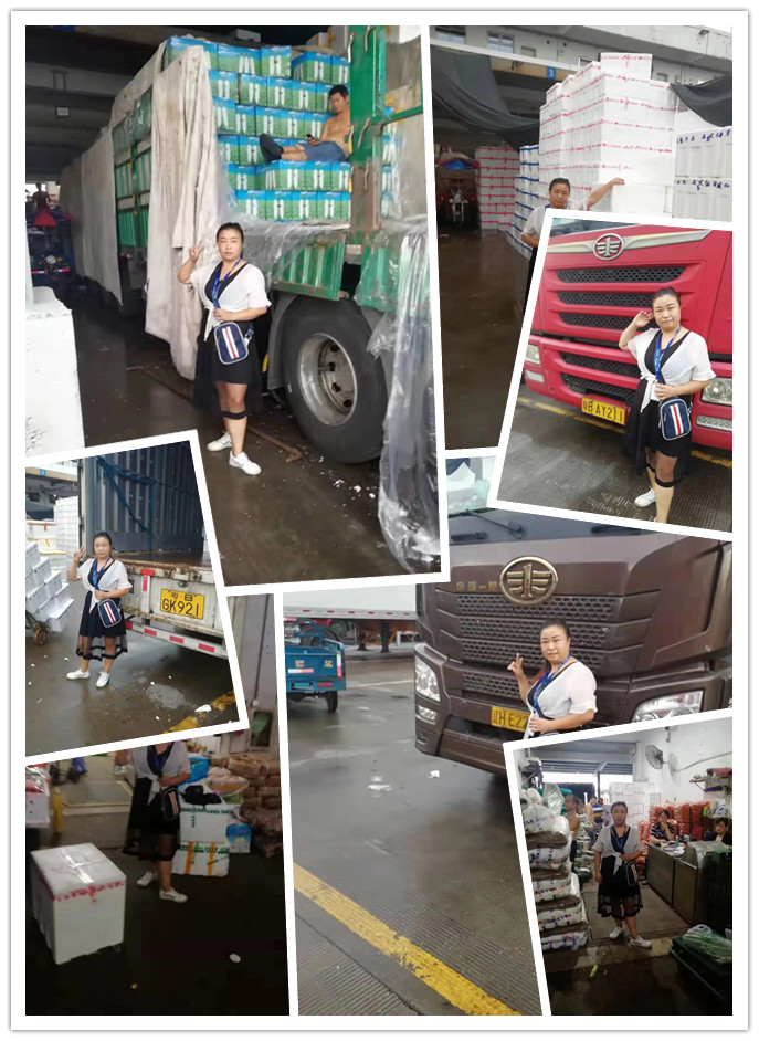 赏金船主·PG(中国游)官方网站