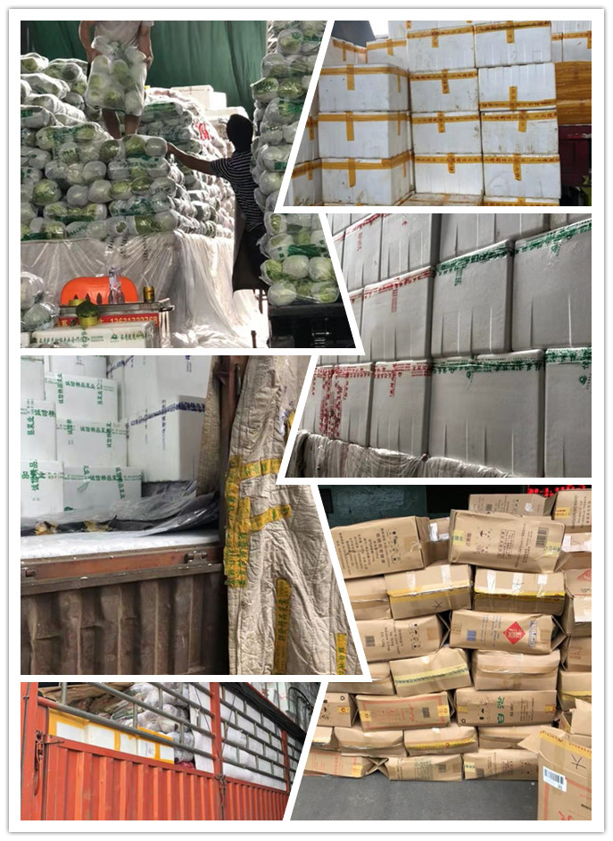 赏金船主·PG(中国游)官方网站