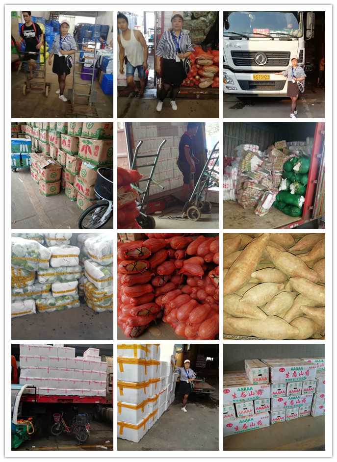 赏金船主·PG(中国游)官方网站