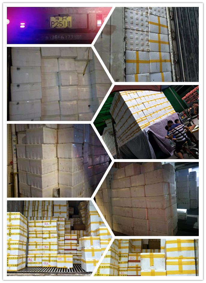 赏金船主·PG(中国游)官方网站