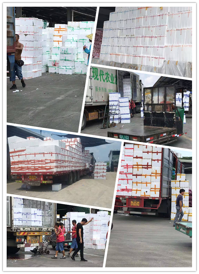 赏金船主·PG(中国游)官方网站