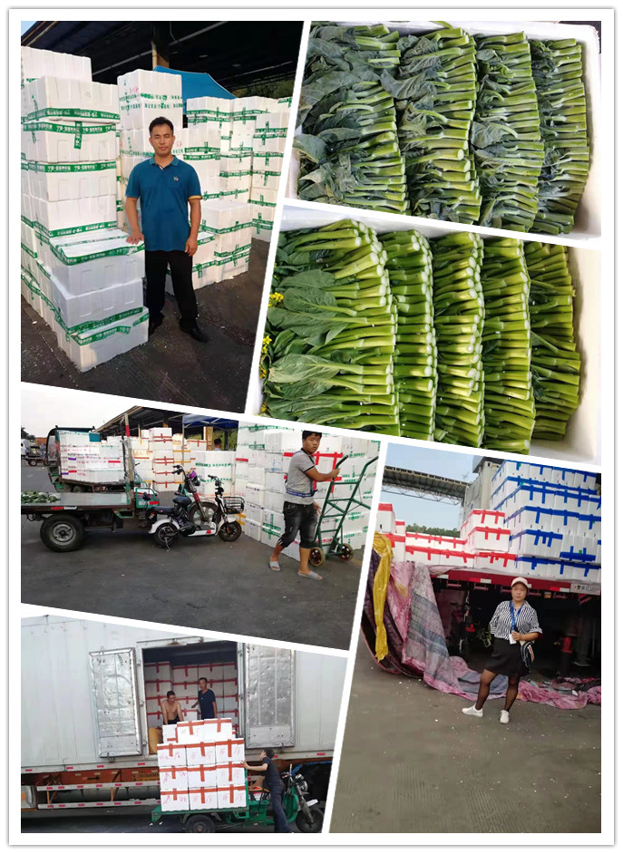 赏金船主·PG(中国游)官方网站