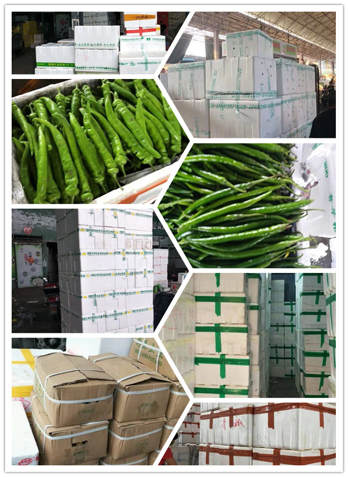 赏金船主·PG(中国游)官方网站