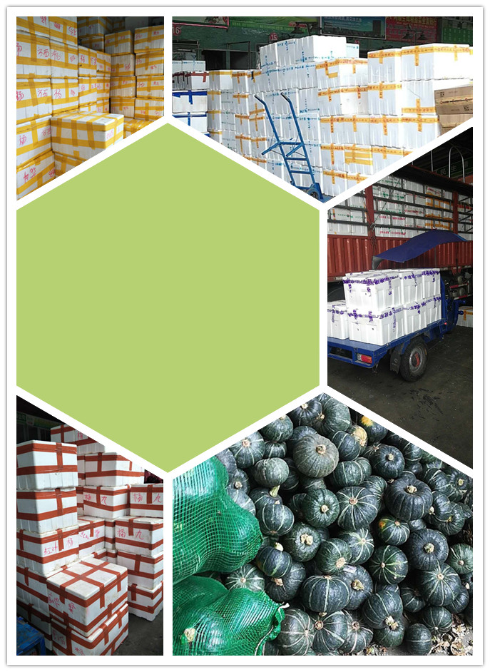 赏金船主·PG(中国游)官方网站