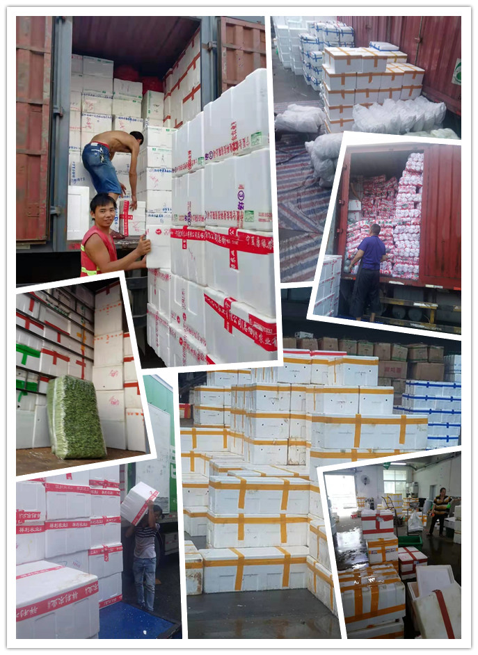 赏金船主·PG(中国游)官方网站