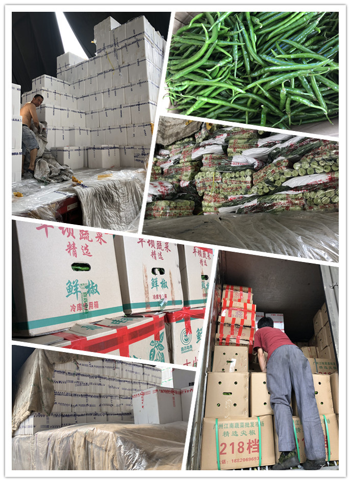 赏金船主·PG(中国游)官方网站