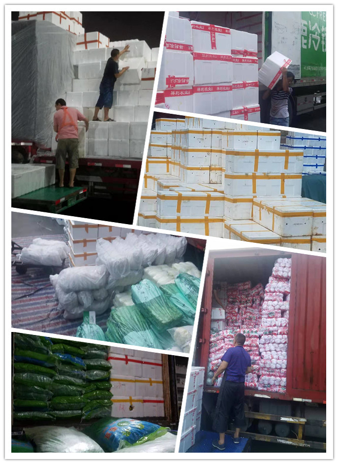 赏金船主·PG(中国游)官方网站