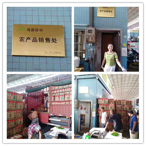 赏金船主·PG(中国游)官方网站