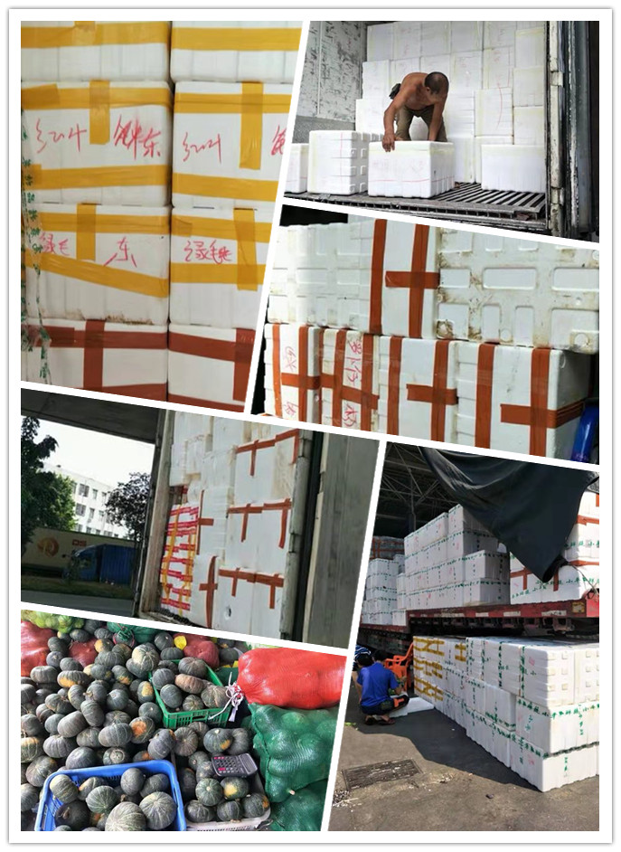 赏金船主·PG(中国游)官方网站