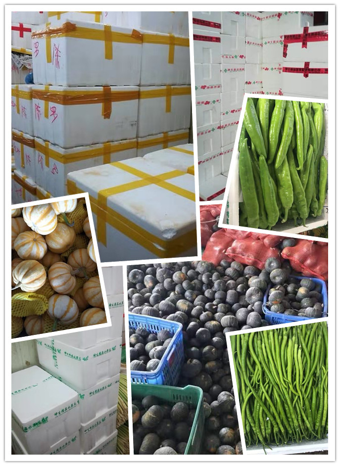 赏金船主·PG(中国游)官方网站