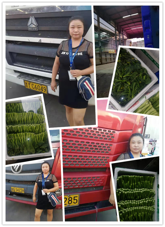 赏金船主·PG(中国游)官方网站