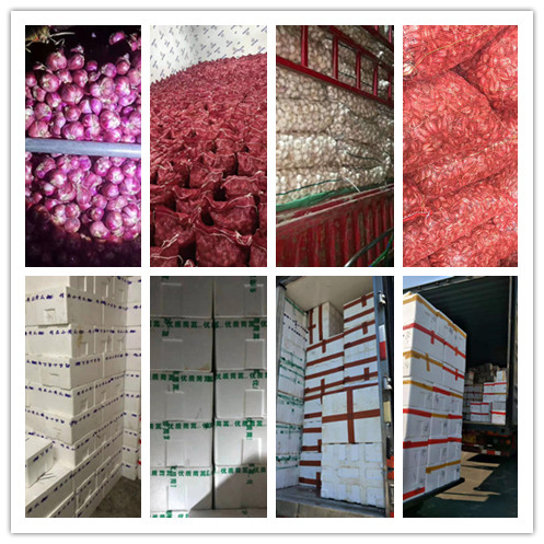 赏金船主·PG(中国游)官方网站